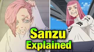 Sanzu Haruchiyo Explained Tokyo Revengers English [upl. by Donahue]