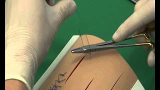 CSL Cruciate suture pattern [upl. by Hepsoj]