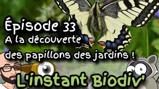 Ep33 À la découverte des papillons des jardins [upl. by Ashmead]