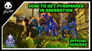 How To Get A PYROMANES In Aberration  ARK Survival Ascended [upl. by Haibot]