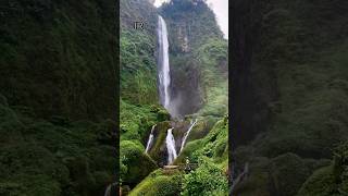 Fairyland natural tourism music song lyrics nature funy shorts [upl. by Barbuto]