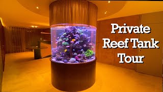 REEF TANK TOURS  mixed column reef tank 2000 liter  530 gallon acrylic AQUARIUM reeftank [upl. by Amarillis]