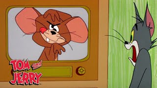 Tom amp Jerry  Best of Jerrys Tricks  GenerationWB [upl. by Acus245]