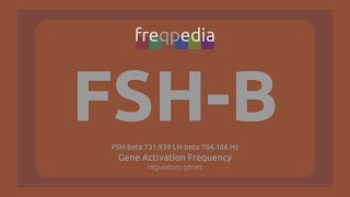 FSHB fertility and infertility Gene Activation Frequency [upl. by Aimak]