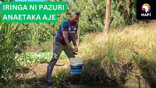 MAZINGIRA MAZURI YA MKOA WA IRINGA ARDHI NZURI KWA KILIMO iringa mazingira kilimo [upl. by Bradeord]