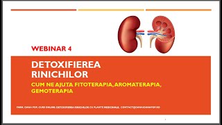 Webinar gratuit nr 4  Detoxifierea Rinichilor cu plante medicinale Farm Oana Pop [upl. by Neu]