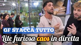 Lite infuocata al reality Alfonso e Stefano si scontrano per Federica caos in diretta [upl. by Boeschen]