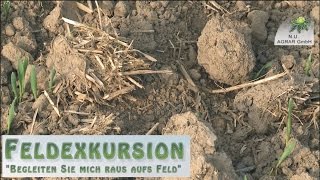 26 Feldexkursion Herbizide auf trockenen Boden spritzen  NU Agrar 07102015 [upl. by Swarts541]