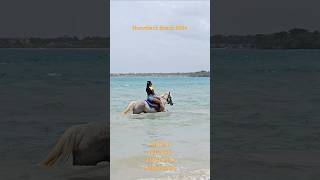 Things To Do In Ocho Rios Jamaica travel jamaica ochorios trendingshorts shortvideo montegobay [upl. by Yesima]