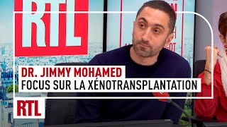 Focus sur la xénotransplantation lavenir de la médecine [upl. by Scurlock]