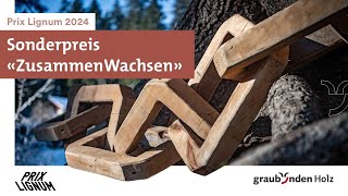 Prix Lignum 2024 Sonderpreis Graubünden Holz [upl. by Vogeley]