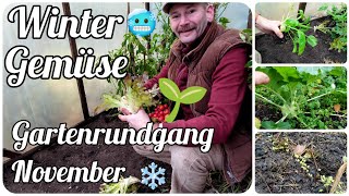 Winter Gemüse 🌱 Gartenrundgang November ❄️🥶 [upl. by Hakeem5]