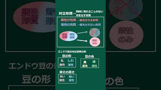 ゆっくり解説 中学理科 遺伝子と形質 遺伝子 形質 対立形質 顕性 潜性 DNA [upl. by Rollin]