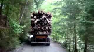 SCANIA timber truck in Romanian Forest [upl. by Einapets241]