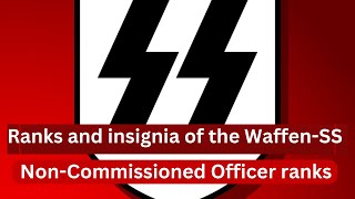 Ranks and insignia of the WaffenSS [upl. by Anayit]