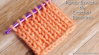 Punto Tunecino Brioche de Crochet Tunecino  Aprende Crochet Tunecino Paso a Paso [upl. by Dranyam33]