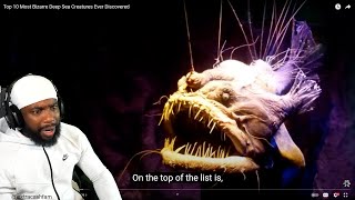 THIS IS WHY IM SCARED OF THE OCEANS Top 10 Most Bizarre Deep Sea Creatures Ever Discovered [upl. by Htedirem]