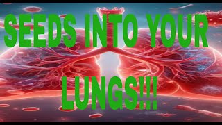 What Happens What happens if a Seed Gets Into Your Lung 😳 facts humanbody science [upl. by Aicener421]