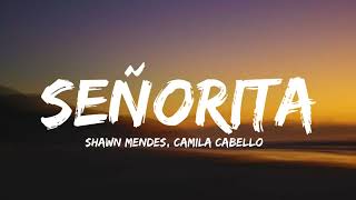 Shawn Mendes amp Camila Cabello  Señorita  Slowed and Reverb [upl. by Gerick]