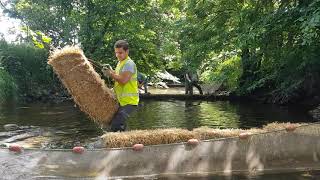 Smithies Weir Removal [upl. by Polard]