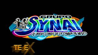 TE EXTRANO MI AMOR  VERSION OFICIAL LIMPIA  GRUPO SYNAI  SALSA [upl. by Eudosia]