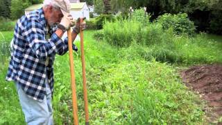 Cleaning an Overgrown Garden Bed [upl. by Titus]