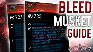 INSANE BLEED MUSKET RAPIER BUILD GUIDE PVP amp PVE  New World Aeternum [upl. by Ahsita479]