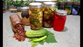 Lacto Fermented Pickles With a Kick [upl. by Danny]