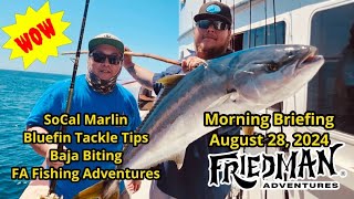 SoCal marlin everywhere bluefin biting this morning epic long range fishing great local bite too [upl. by Zweig]