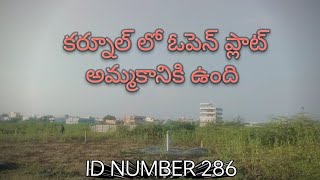 ID NUMBER 286 open plot for sale location Kurnool [upl. by Annayek70]