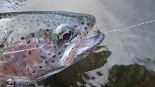 LA PESCA PRÁCTICA Truchas a Corcho y Cucharilla al Arrastre [upl. by Aytak]