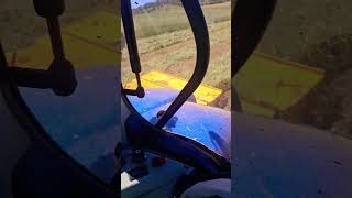 Cutting same triticale for silage [upl. by Tremayne814]