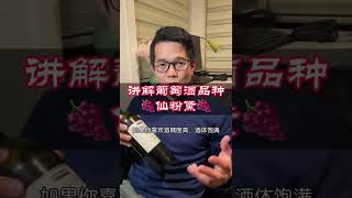 喜欢酒精度高、果味浓郁，价格不贵的红葡萄酒，必试这个品种：仙粉黛 Zinfandel 也叫 Primitivo  关于这个品种你最需要知道的都在这了  学习葡萄酒 [upl. by Bradeord]