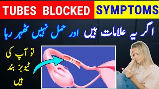 Fallopian Tubes Blocked Symptoms Tube Blockage and Pregnancy Trying To Get Pregnant [upl. by Suedama]