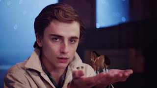 Timothée Chalamet SNL Sketches Highlights [upl. by Nicky]