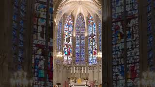 Basilica of Saints Nazarius and Celsus in Carcassonne [upl. by Navanod]