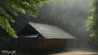 Rain on Tin Roof with Thunder  Continuous Rain Sounds for Sleeping All Nigh [upl. by Okoyk304]