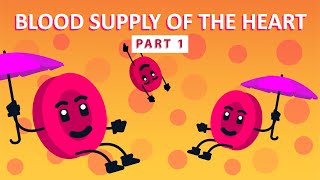 How The Heart Supplies Blood to Itself Part 1  Physiology [upl. by Sel]