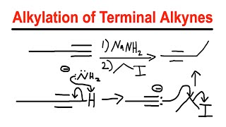 Alkylation of Terminal Alkynes  NaNH2Alkyl Halide  Organic Chemistry [upl. by Clarance]