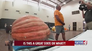 Blue Ribbon for the Biggest Record produce at the Oklahoma State Fair [upl. by Yesteb]