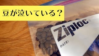 ジップロックにコーヒー豆を保管するとどうなるか ペットボトルに保管した豆と比較してみた [upl. by Arimlede]