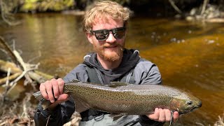 Steelhead and Brook Trout Fishing in Michigans Upper Peninsula [upl. by Ragg801]