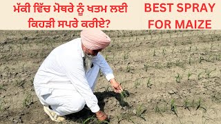 SPRAY ON HERBICIDES GROWING IN MAIZE CROP  MOTHRA  AULAKH DIARY FARM  RAMPURA PHUL  BATHINDA [upl. by Trabue]