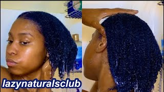 HOW to DYE Natural Hair WITHOUT BLEACH  Simple Quick amp Easy [upl. by Eilsehc889]