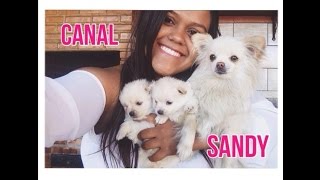 CAMILA LOURES  Canal  Sandy [upl. by Tiffi]