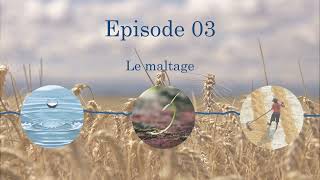 E3  Le maltage [upl. by Zennie]