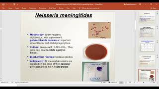 Bacterial CNS infections Microbiology 2024 [upl. by Tartaglia910]