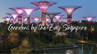 Gardens by the Bay Singapore [upl. by Furie677]