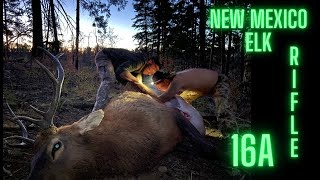 New Mexico Bull Elk Hunt [upl. by Ellicec]