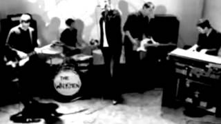 The Walkmen  The Rat Official Video [upl. by Fondea]